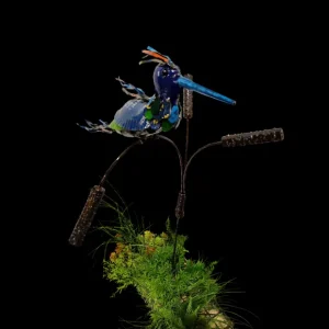 Online Think Outside Barnyard Kingfisher